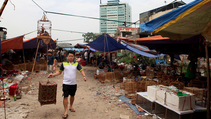 Chợ họp ở một bãi đất trống gần cầu vượt nút Văn Cao - Hồ Tây, thay cho chỗ cũ đã bị giải tỏa.