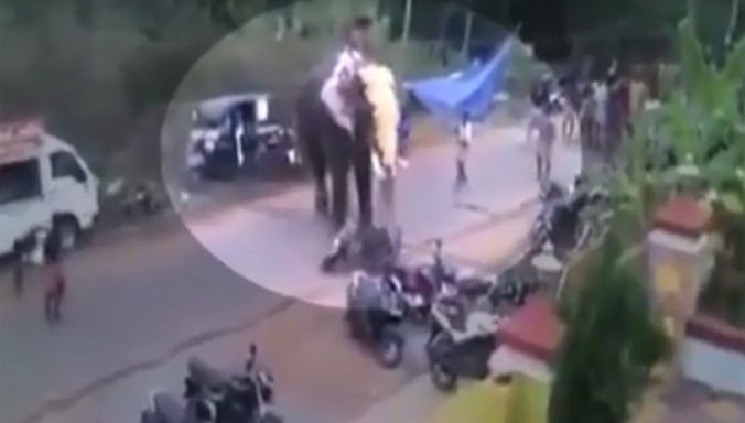 Voi phát điên đập nát xe cộ trong lễ hội Ấn Độ