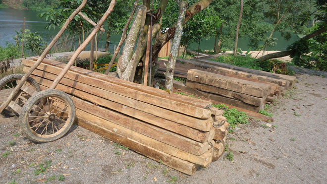 Bắt được gỗ lậu vừa lọt qua trạm kiểm soát