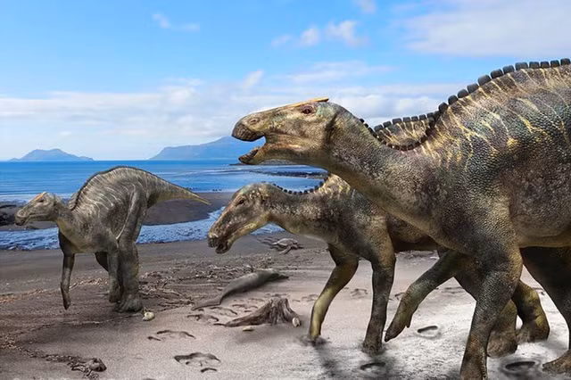 Hình ảnh phác hoạ loài khủng long mới ở Nhật Bản.