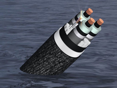 Hiện vẫn chưa có thông tin chính thức về địa điểm đứt cáp quang biển AAG và thời gian dự kiến sẽ khắc phục xong sự cố.