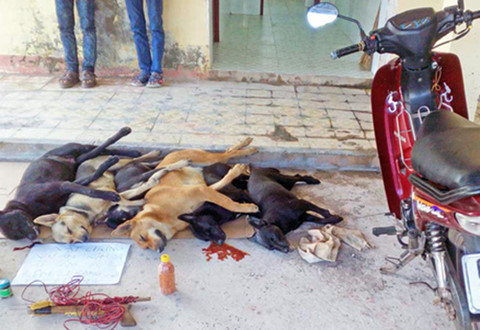 Công an Hà Nội khởi tố vụ người dân đâm chết kẻ trộm chó