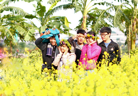 Nhiều nhóm bạn, gồm cả các chàng trai cũng không cưỡng được sức hút diệu kỳ của cánh đồng hoa vàng đầu đông.