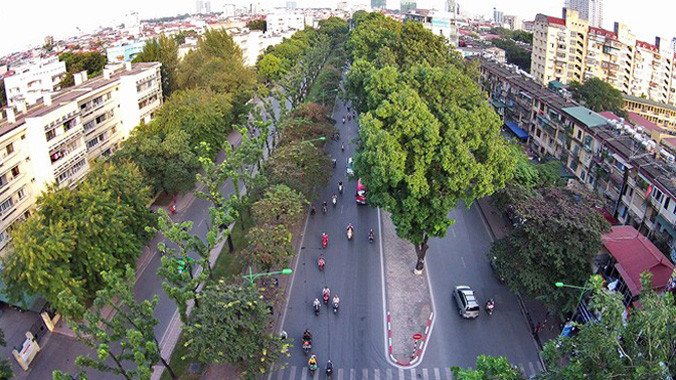 Ban duy tu các công trình hạ tầng kỹ thuật đô thị và Công ty cổ phần tư vấn đầu tư xây dựng Hà Thành đang tiến hành thực hiện phương án chặt hạ, di chuyển hơn 200 cây xanh không đúng chủng loại cây đô thị, cây cong nghiêng, sâu mục gây mất ATGT, từ ngã tư