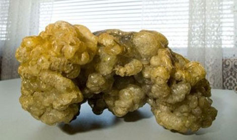 Khối long diên hương.