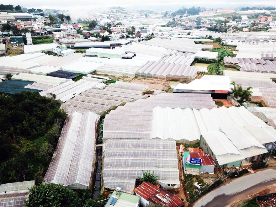 Lấp hồ để làm nhà kính