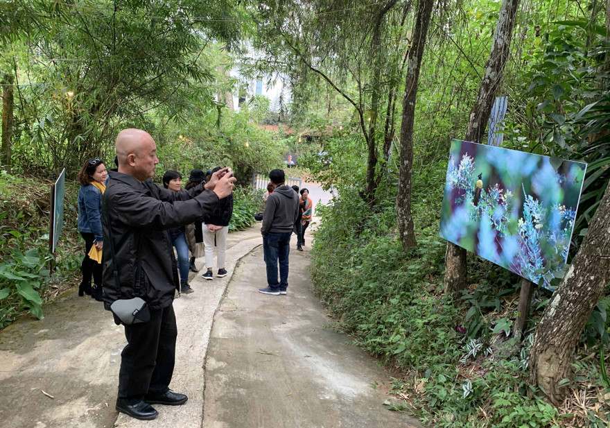 Triển lãm ảnh dưới tán rừng