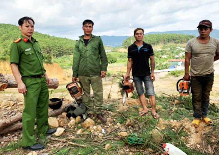 3 đối tượng cưa hạ thông bị bắt quả tang cùng cưa máy tang vật