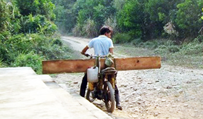 Các đối tượng thường dùng xe máy "độ chế", không biển số để chở gỗ lậu