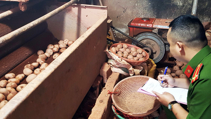 Phát hiện vụ dùng máy chuyên dụng tẩm đất đỏ Đà Lạt cho khoai tây Trung Quốc