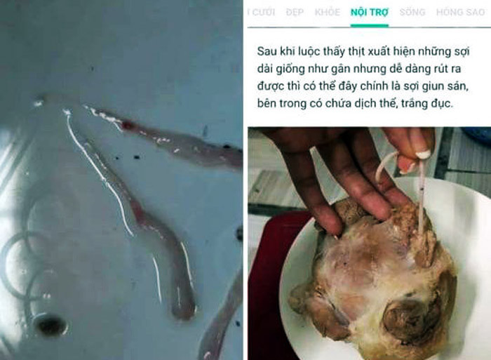 Xử phạt người đàn bà tung tin đồn thất thiệt thịt lợn nhiễm sán trên Facebook