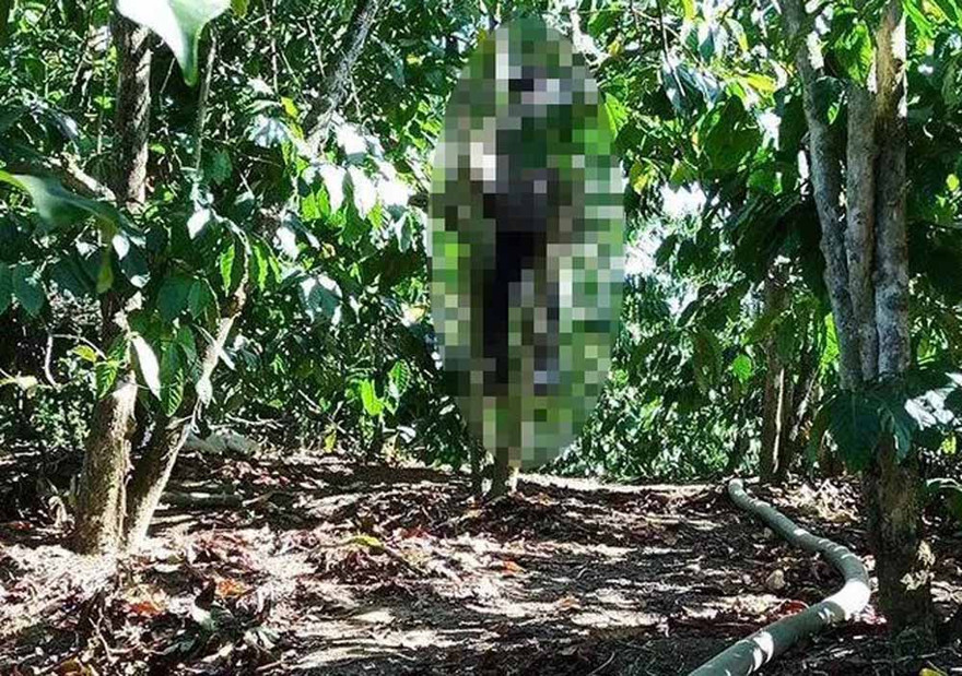 Hiện trường vụ việc