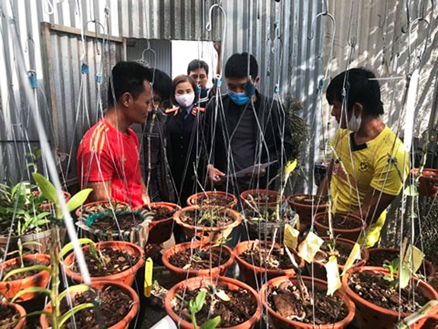 Đưa các đối tượng đi thực nghiệm hiện trường