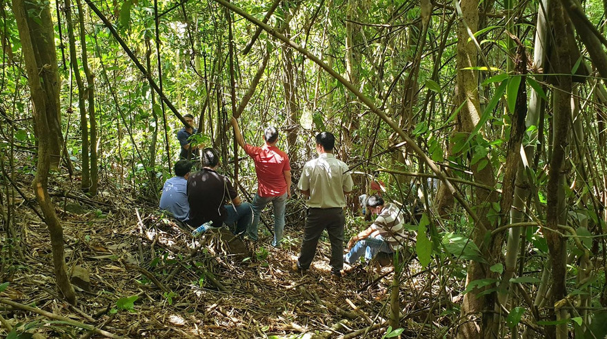 Cánh rừng, nơi phát hiện thi thể người đàn ông