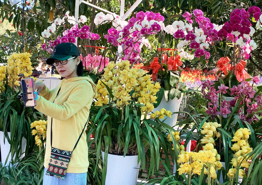 Giới trẻ hào hứng check in tại hội hoa xuân