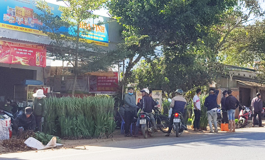 Nhiều nông dân đi tìm chỗ bán hoa lay ơn nhưng ít người mua.