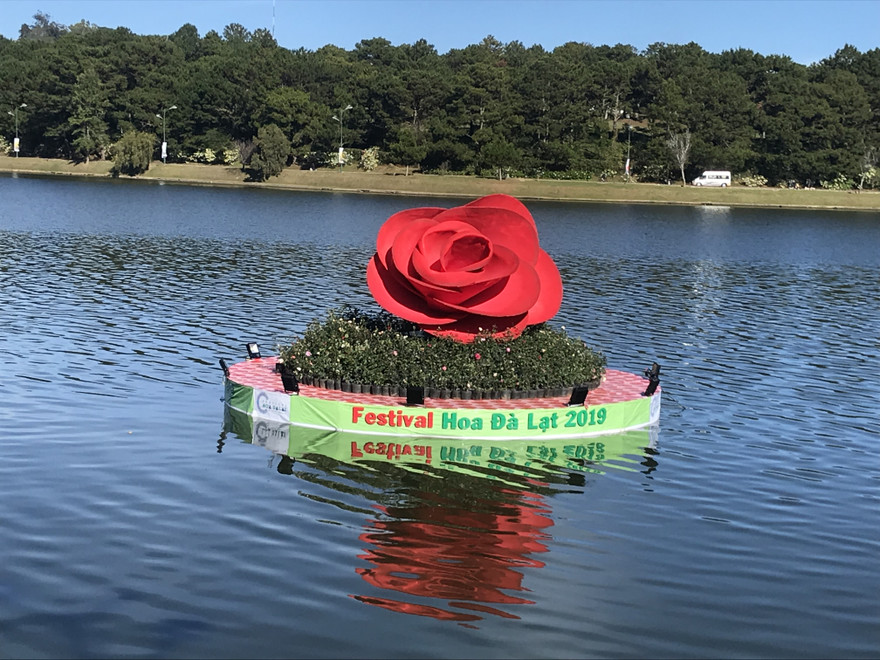 Festival hoa Đà Lạt lần thứ VIII sẽ chính thức khai mạc vào đêm nay