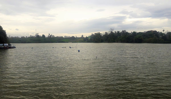 Nơi phát hiện thi thể anh Quý