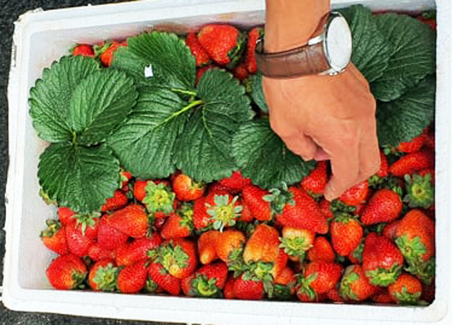 Công an Đà Lạt làm việc với chủ hàng