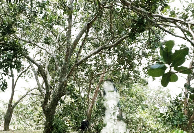 Nơi phát hiện thi thể người đàn ông