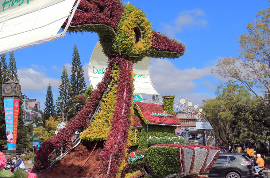 Một khoảng trống nham nhở trên lưng chim sau khi bị lấy trộm hoa