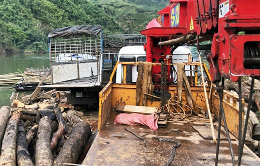 Hiện trường vụ bốc gỗ lậu