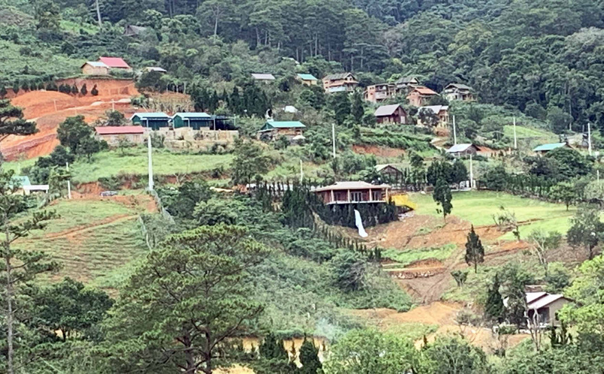 Ngôi làng "mọc" trái phép trên đất lâm nghiệp