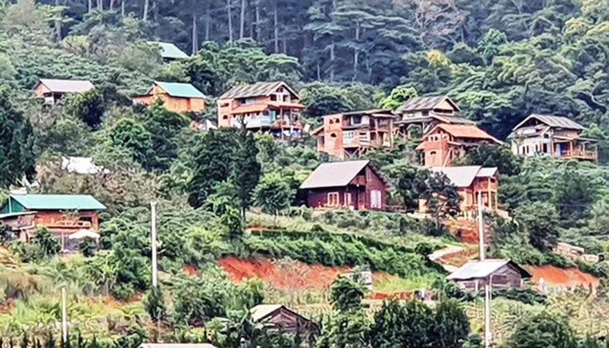 Một góc của ngôi làng "mọc" trái phép trên đất rừng