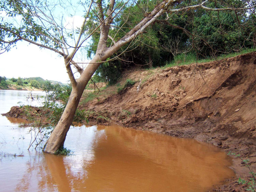 bờ sông Đồng Nai bị sạt lở vì nạn khai thác cát trái phép