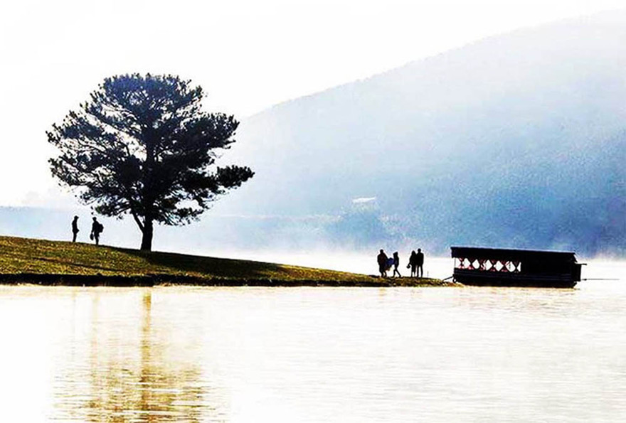 Nhiều du khách tham quan cây thông cô đơn