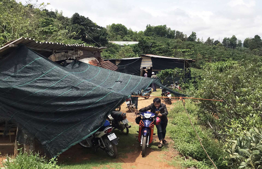 Khu vực các đối tượng tổ chức đá gà ăn tiền.