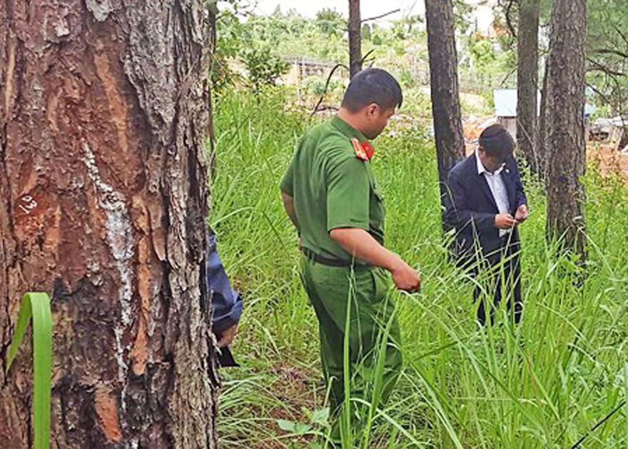 Công an vào cuộc điều tra vụ đầu độc thông