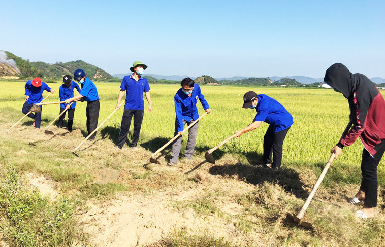 Làm đường giao thông nội đồng tại xã Triệu Hải. 