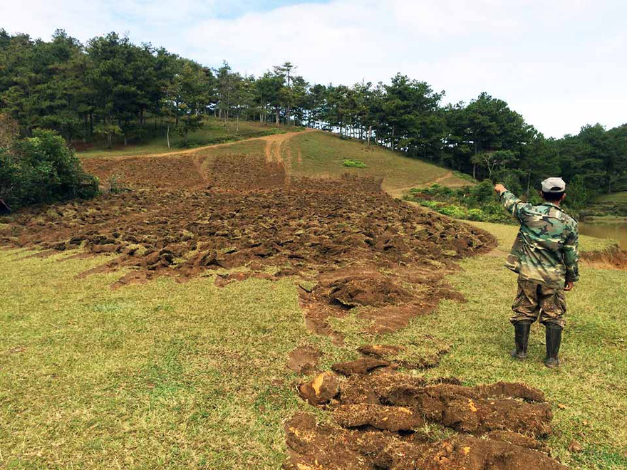 Vườn quốc gia Bidoup-Núi Bà bị xâm hại