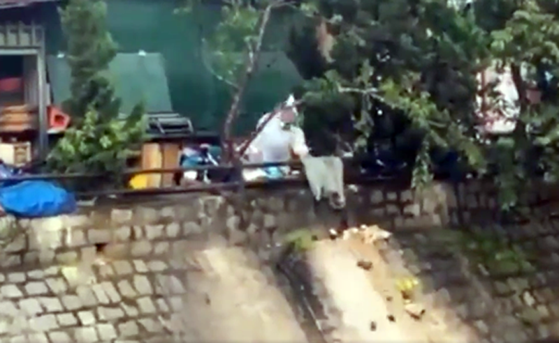 Người mặc áo mưa đổ rác xuống suối-ảnh cắt từ clip