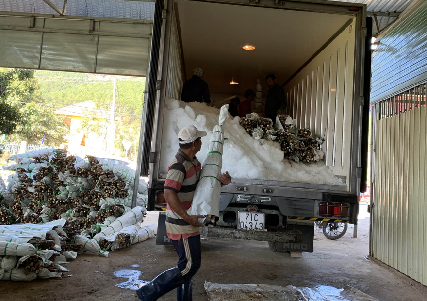 Lượng xe đông lạnh đến Hiệp An mua hoa giảm mạnh