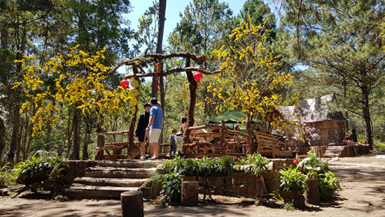 Trang hoàng rực rỡ để đón khách dịp Tết