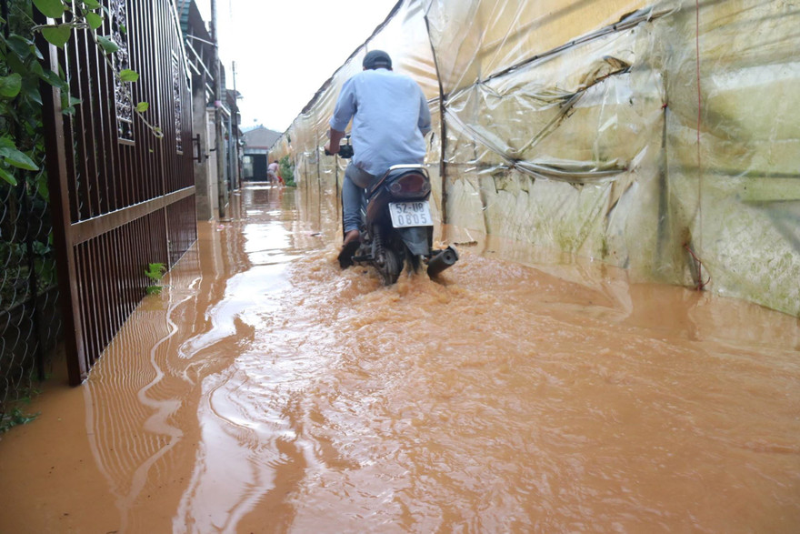 Nước từ suối tràn lên đường