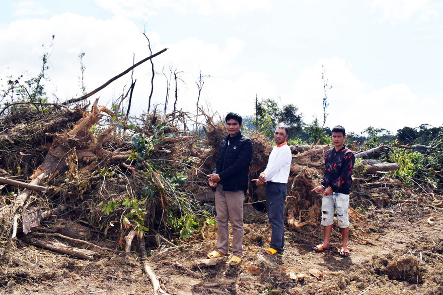 Đưa 3 đối tượng đi thực nghiệm hiện trường vụ phá rừng