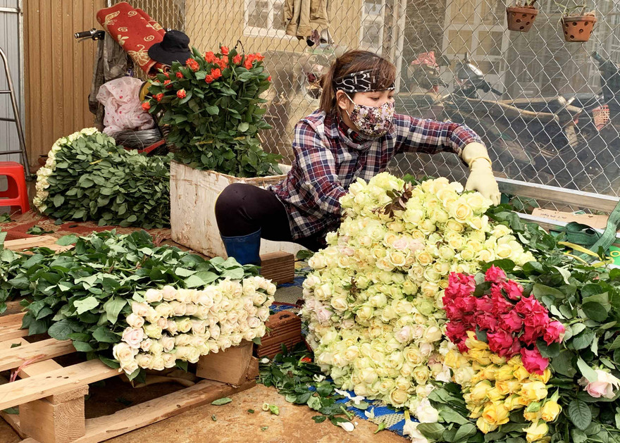 Sơ chế hoa hồng 