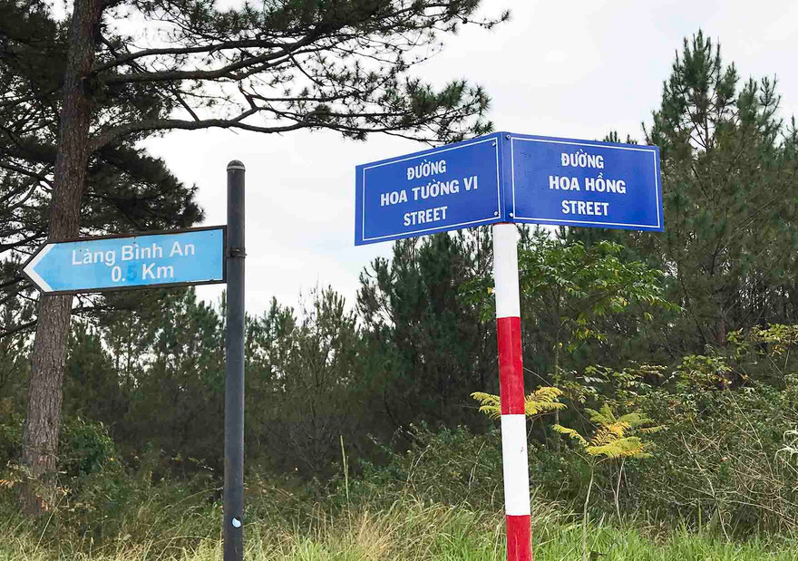 Đặt tên các loài hoa cho đường phố Đà lạt