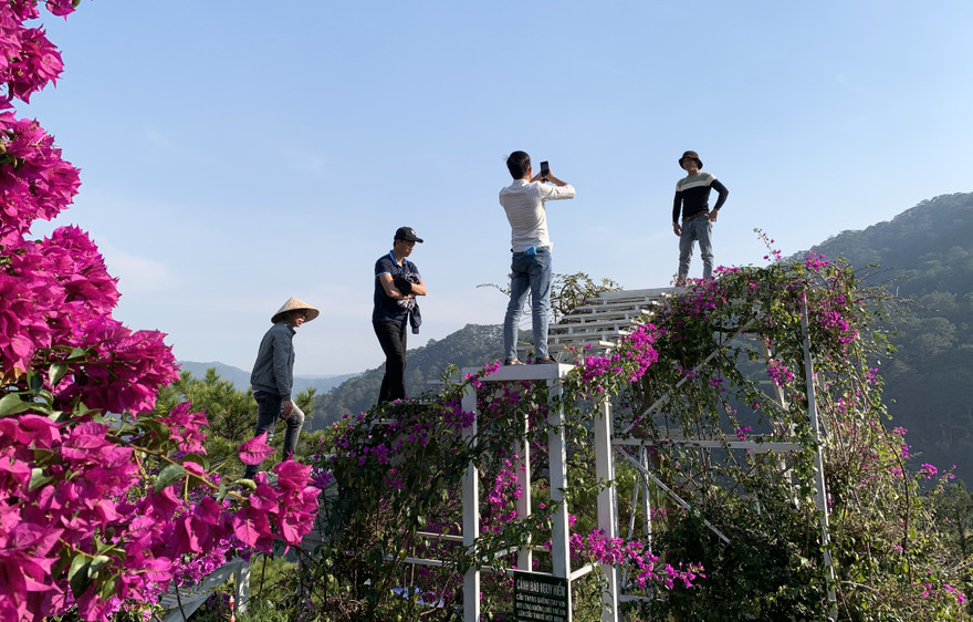 Giới trẻ hào hứng check in ở Đà Lạt 