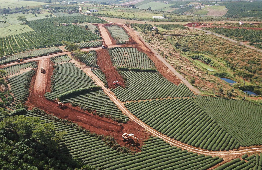 Đồi chè xanh tốt bị san ủi để phân lô.