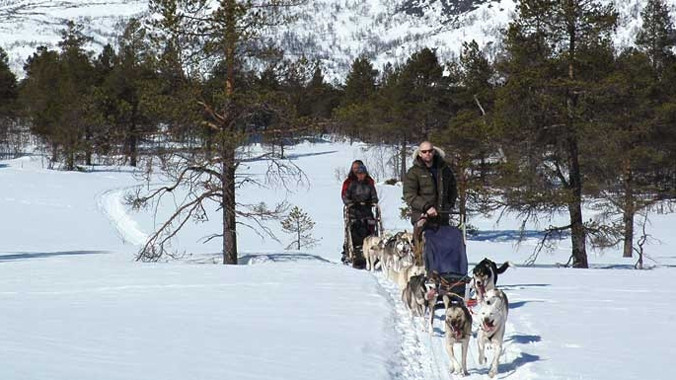 Du lịch bằng xe chó kéo ở Nauy, quốc gia luôn đứng Top đầu những nước đáng sống nhất và hạnh phúc nhất thế giới Nguồn. Ảnh: Beito Husky tour.