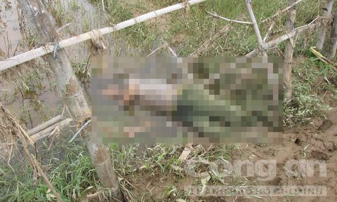 Ông Sơn được phát hiện nằm dưới đám ruộng có nước, cạnh đường làng