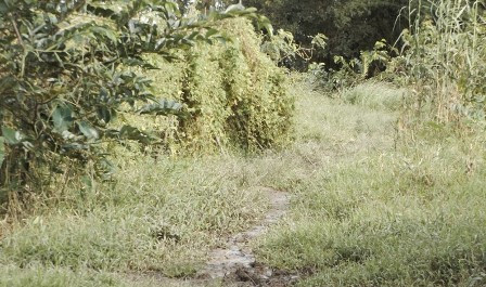 Hiện trường nơi xảy ra vụ việc