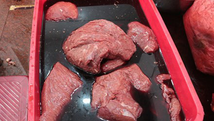 Ảnh chỉ mang tính minh họa. Nguồn: Internet