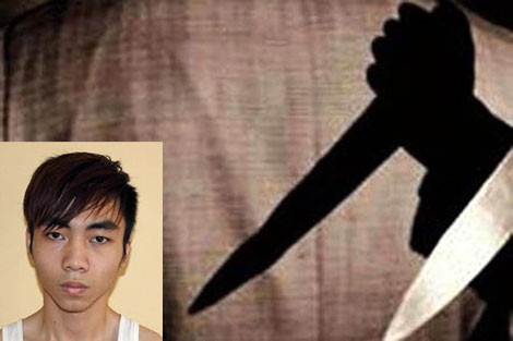 Đối tượng Trần Quang Sỹ