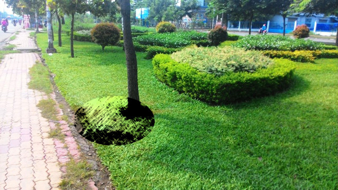 Nơi người dân phát hiện thi thể nạn nhân (vị trí được khoanh tròn trong ảnh) vào rạng sáng hôm nay.