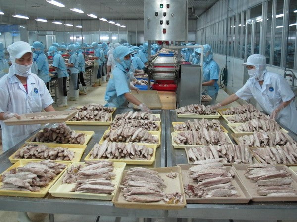 Nhiều cơ sở kinh doanh nông sản xếp loại C chưa bị xử lý 